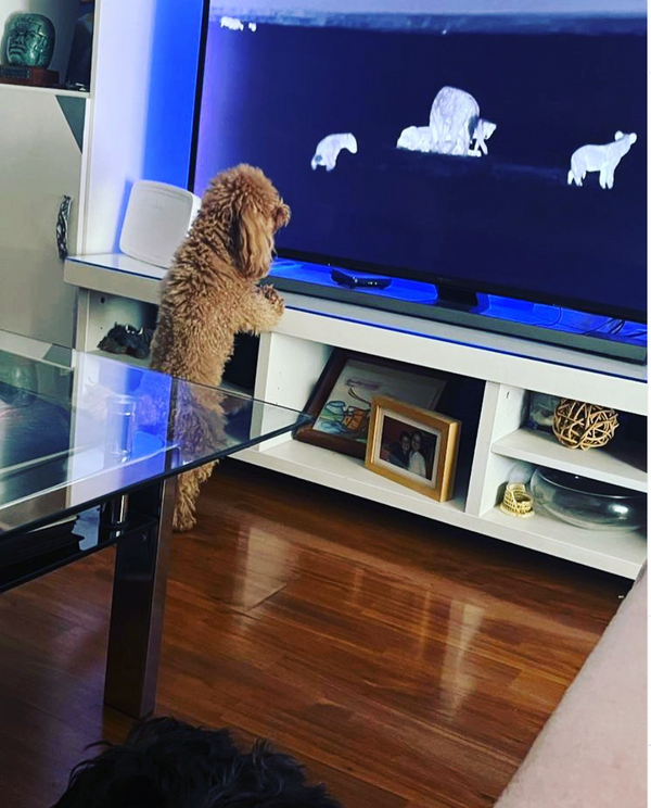 Publicación de Instagram