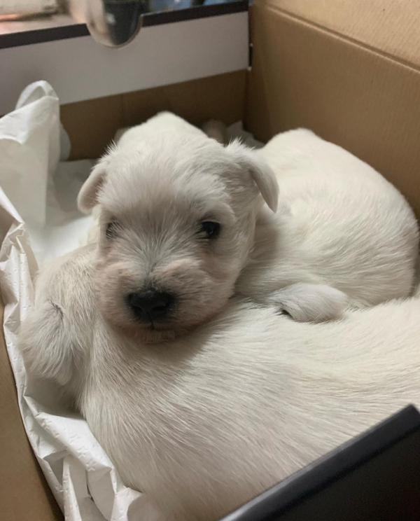 Publicación de Instagram