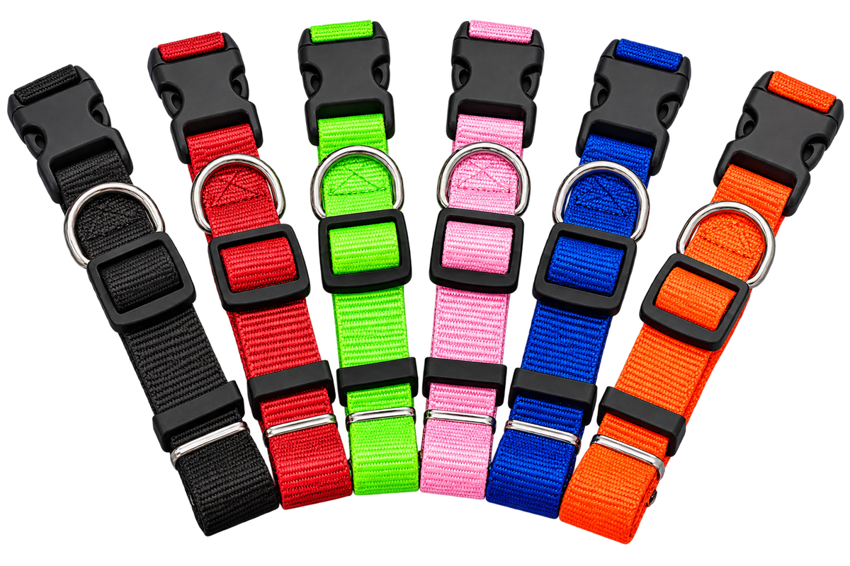 Collar Ajustable para Perro | Varios Colores | Deterrajaras